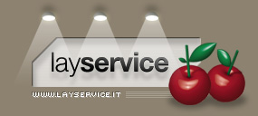 layservice